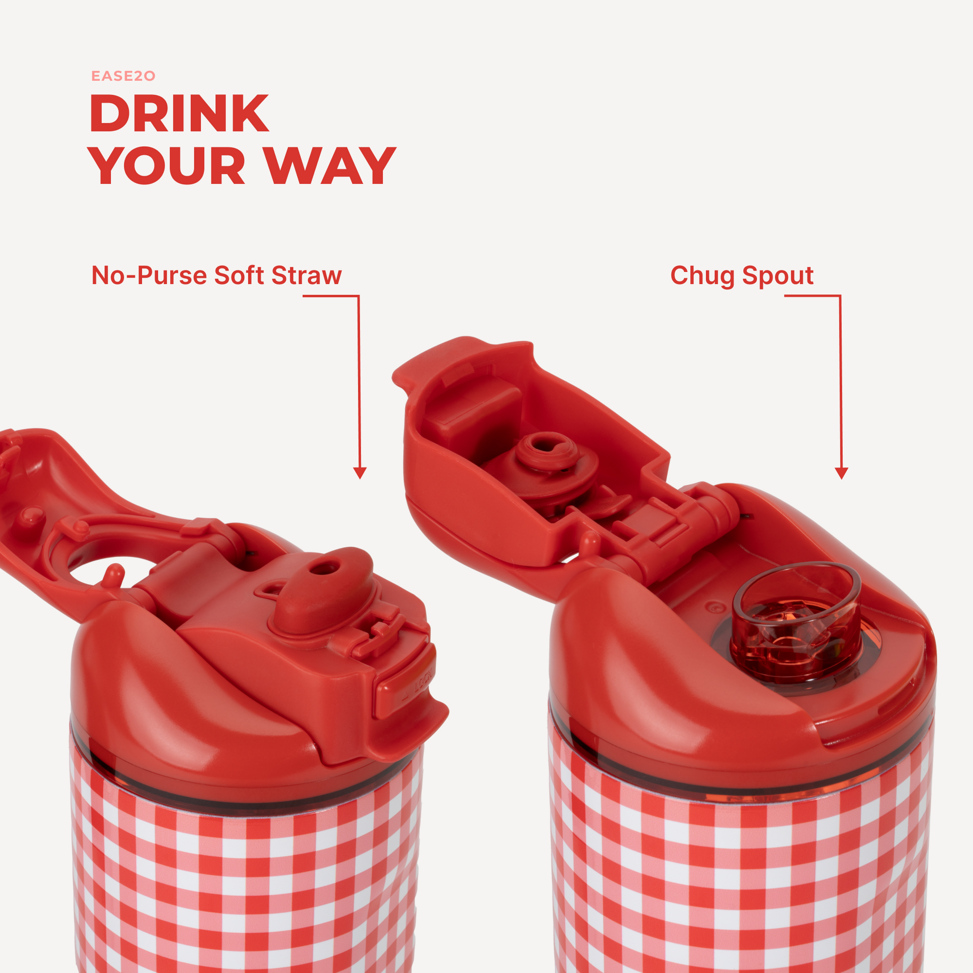 summer-picnic-e6 Ease14-SummerPicnic-3WPI.png