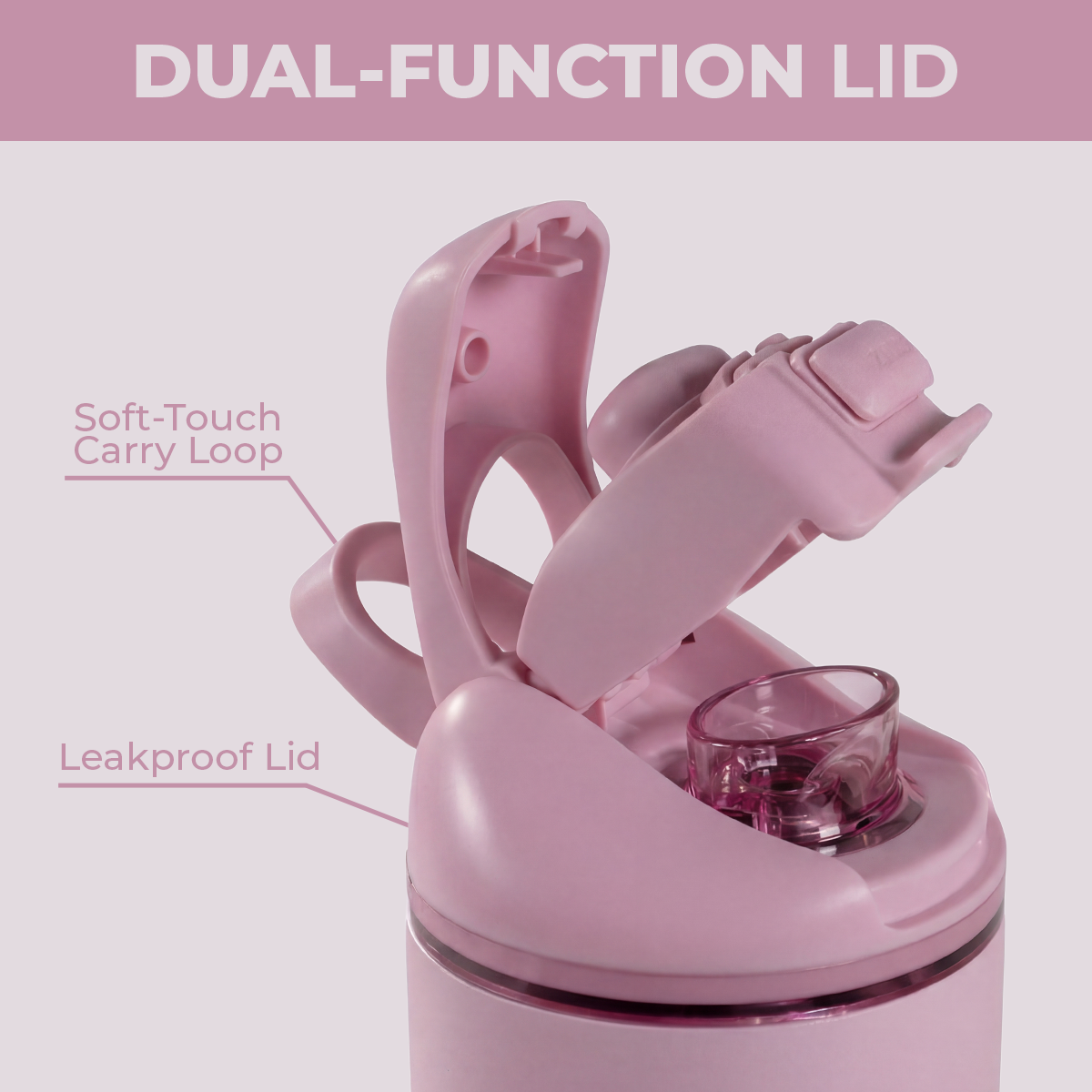 sweet-pea-w7 Ease24-Sweetpea-WPI-6.png